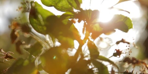 Los Angeles Christian Counseling 3