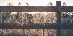 Emotional Infidelity Explained: 9 Signs to Watch For 3