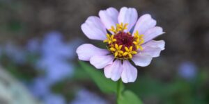 OCD Anxiety: How is it Different from Generalized Anxiety? 1