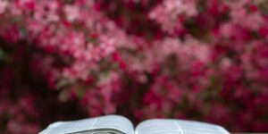 Prayers and Bible Verses for Abandonment 2