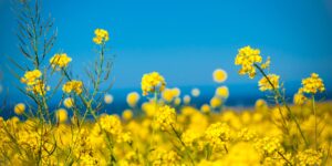 Personal Development: Building Self-Esteem 1