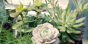 How to Get the Most Out of Group Counseling