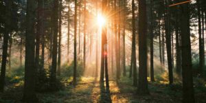 Don't Tough it Out Alone: Thoughts on Grief Counseling