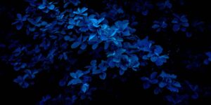 How Biblical PTSD Counseling Helps 3