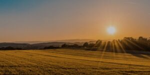 Photo of the Alamo Ranch office