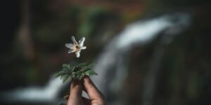 How Self-Compassion Can Help With Depression 4