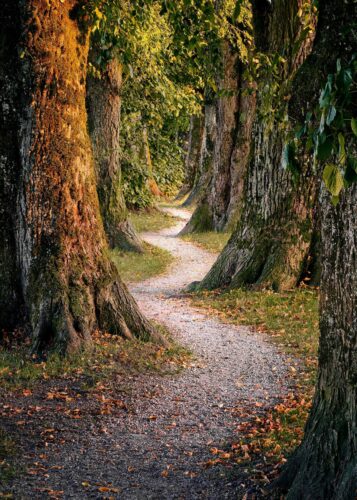 Self-Reflection and Spiritual Maturity: A Pathway to Inner Growth