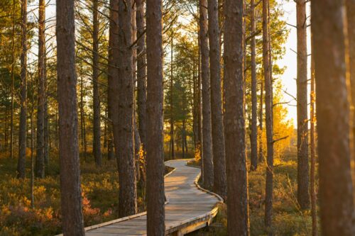 Self-Reflection and Spiritual Maturity: A Pathway to Inner Growth 3