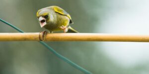 Some Common (and More Hidden) Signs of Anger Issues 4